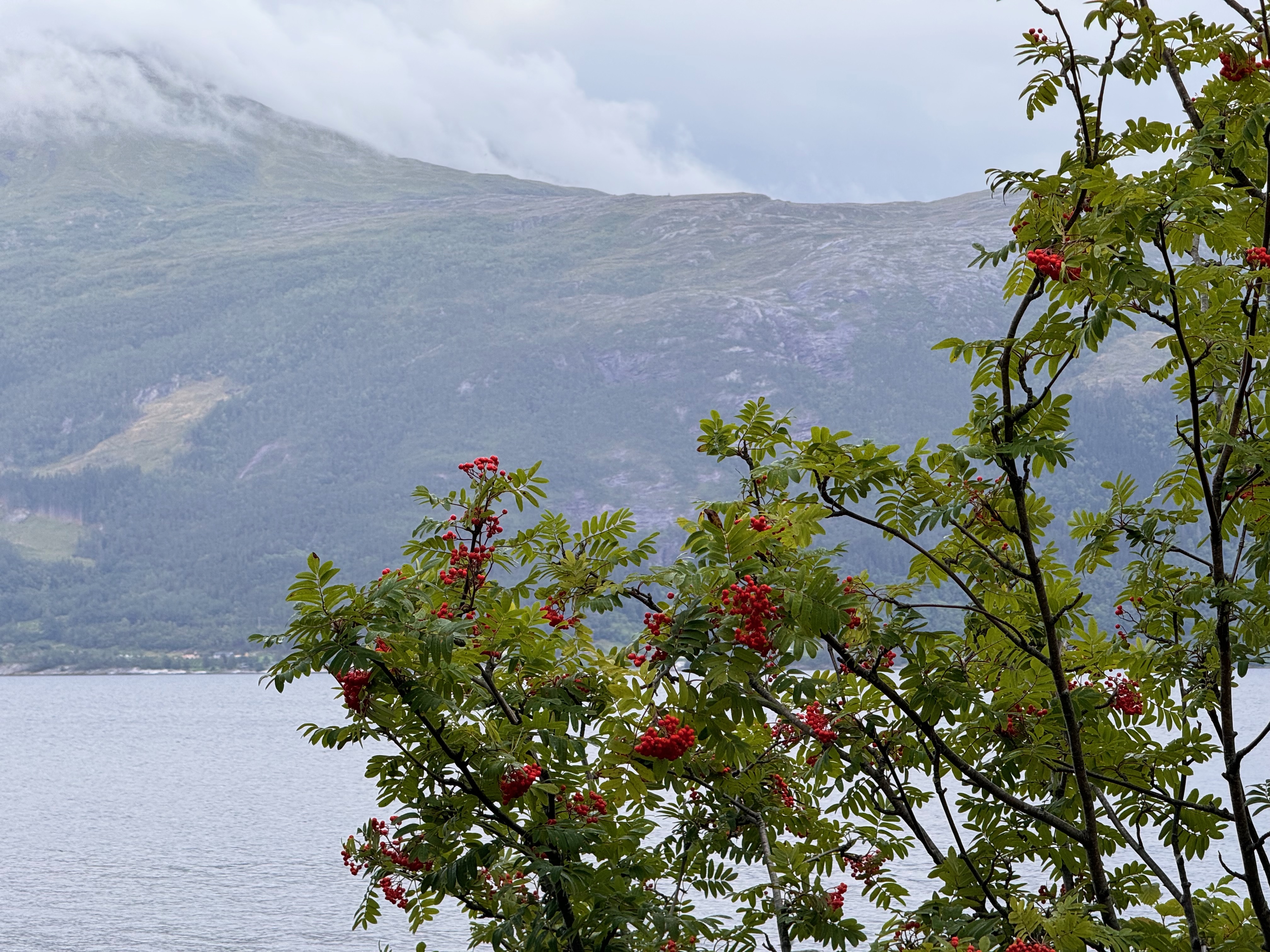 Original non-urban photo