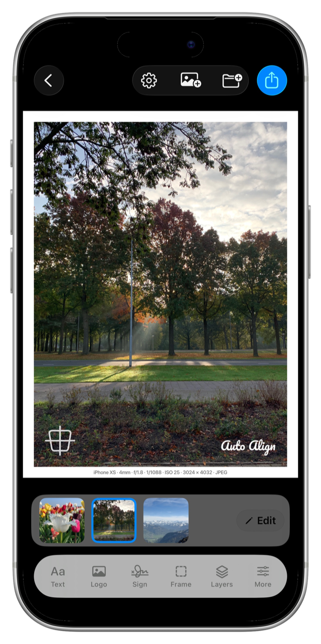 Batch carousel with three photos loaded and one selected