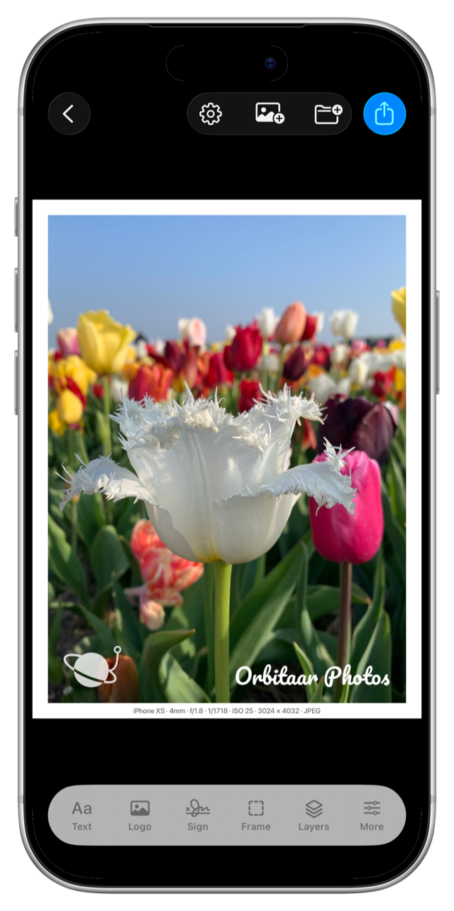 Finished photo combining a white frame, EXIF caption, logo, and text watermark