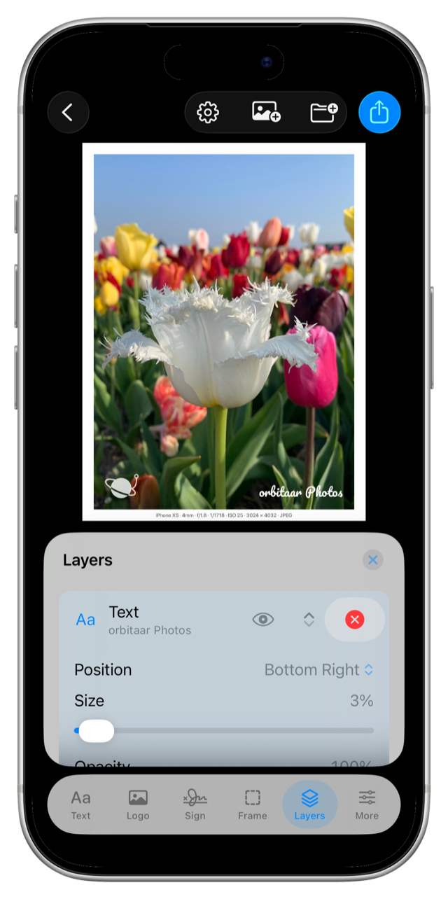 Layers panel listing a text layer with position, size, and opacity controls