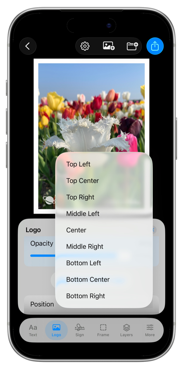 Logo panel with an opacity slider and the nine-point position menu open