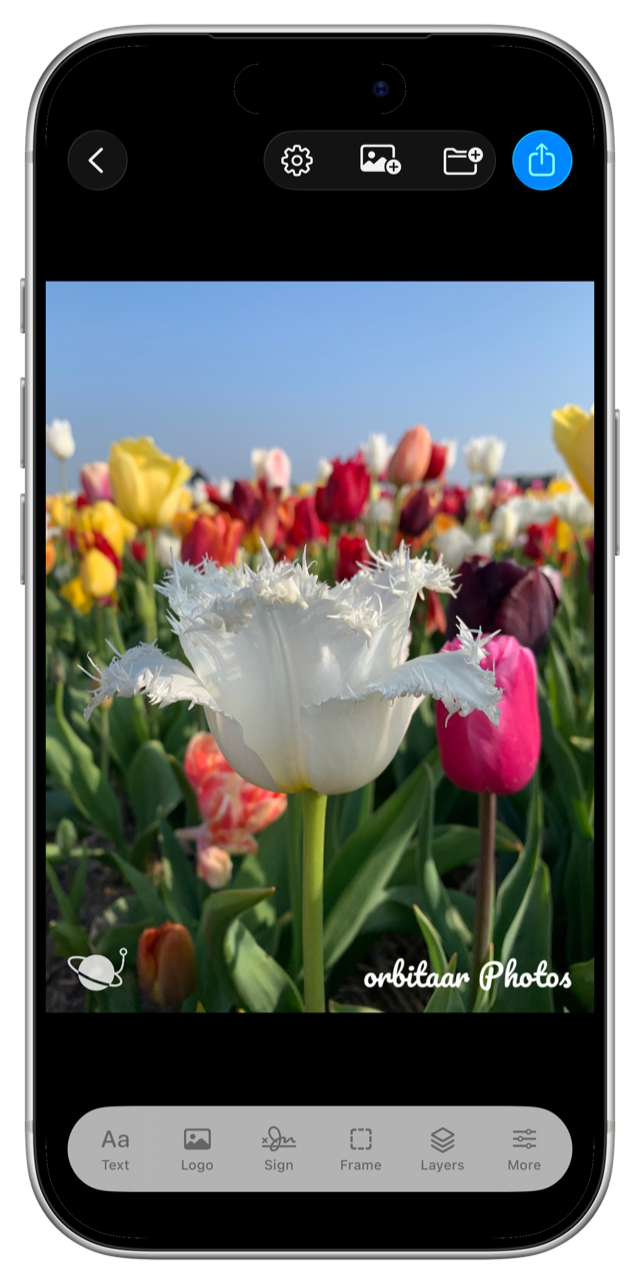 The Markepi editor showing a tulip photo with a text watermark and logo, and the Text, Logo, Sign, Frame, Layers, and More tool bar