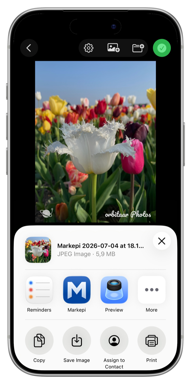The iOS share sheet showing the finished watermarked photo above Copy, Save Image, Assign to Contact, and Print