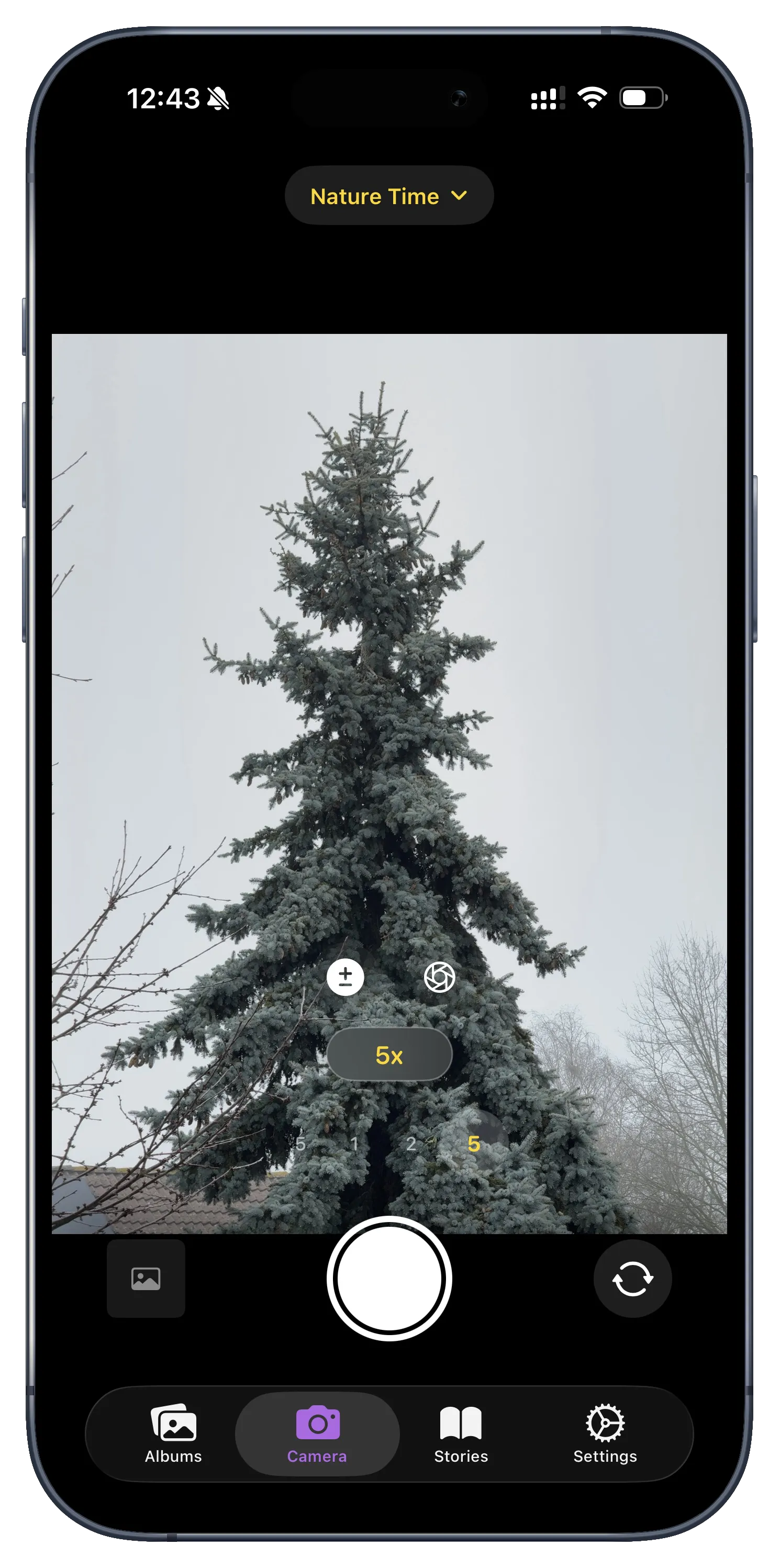 Collaboration Details