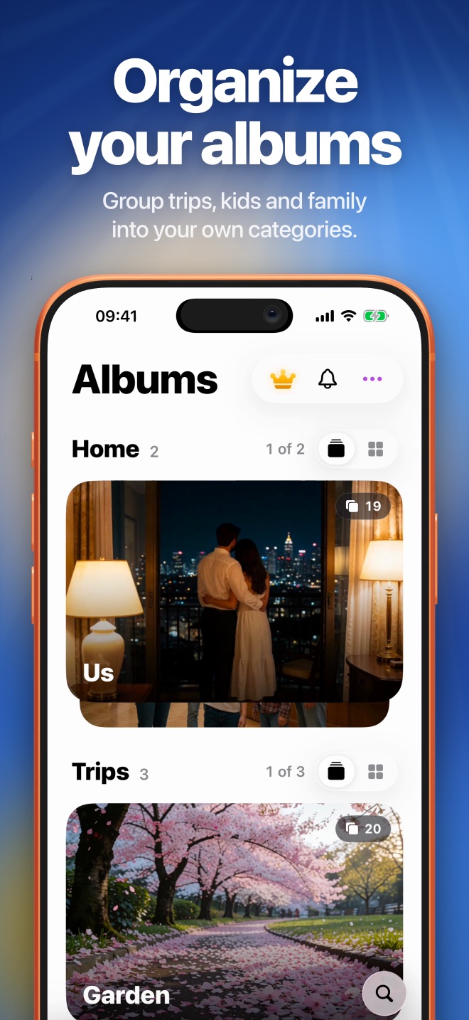 Organize your albums into categories